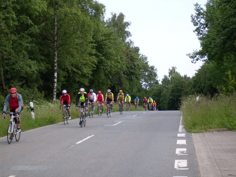 RTF Bad Oldesloe Peter 365